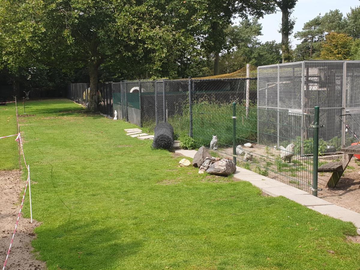 De Dierenweiden Goedereede Extérieur photo