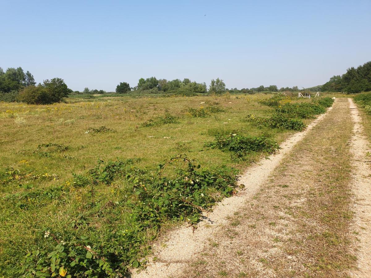 De Dierenweiden Goedereede Extérieur photo
