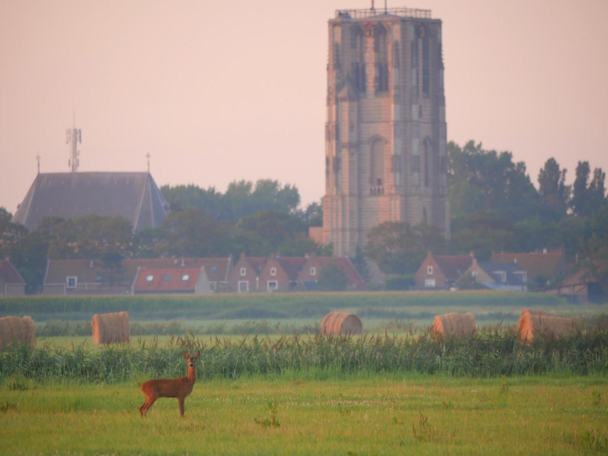 De Dierenweiden Goedereede Chambre photo